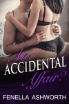An Accidental Affair-3 copy